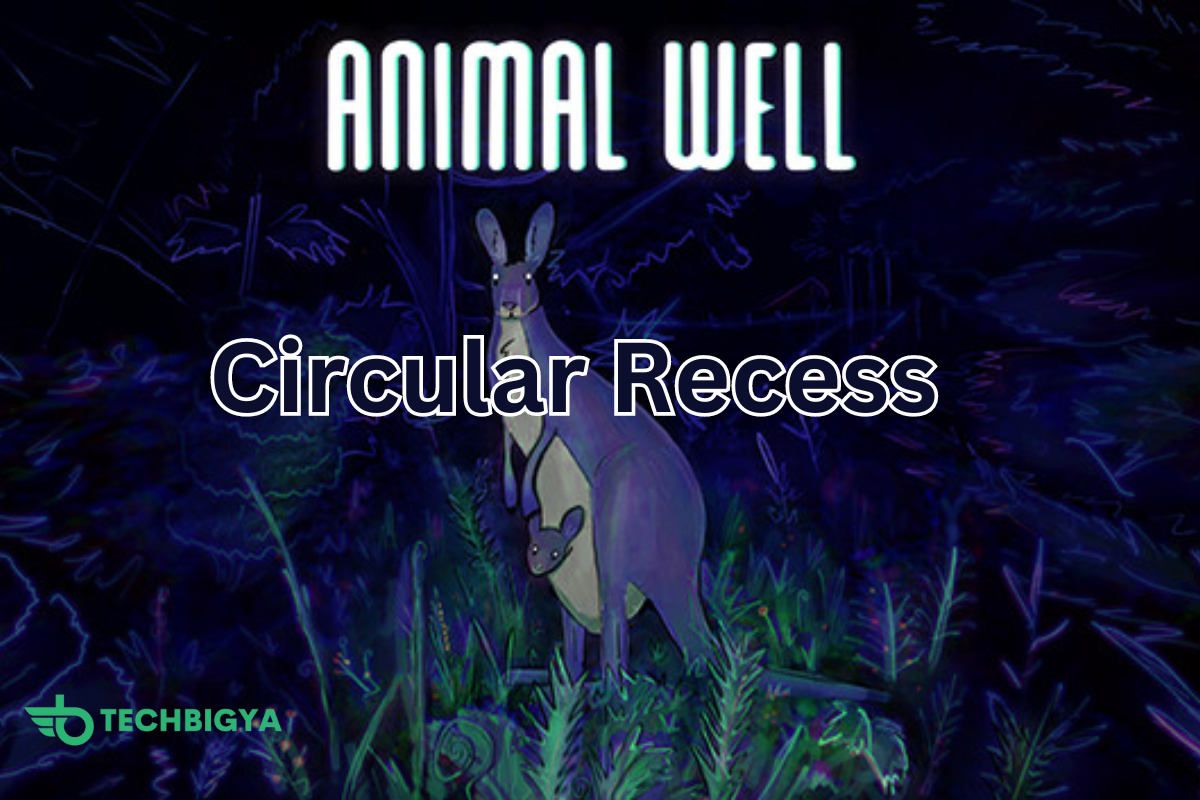 animal well circular recess